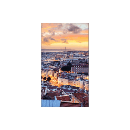 Samsung VH55C-E LCD Interno [LH55VHCEBGBXEN]