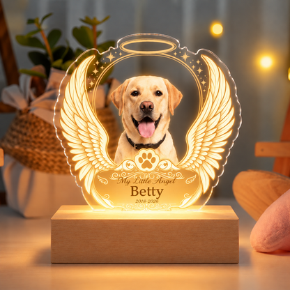 Lampada LED Ricordo Cane Gatto con Ali d'Angelo Foto Acrilico Plexiglass