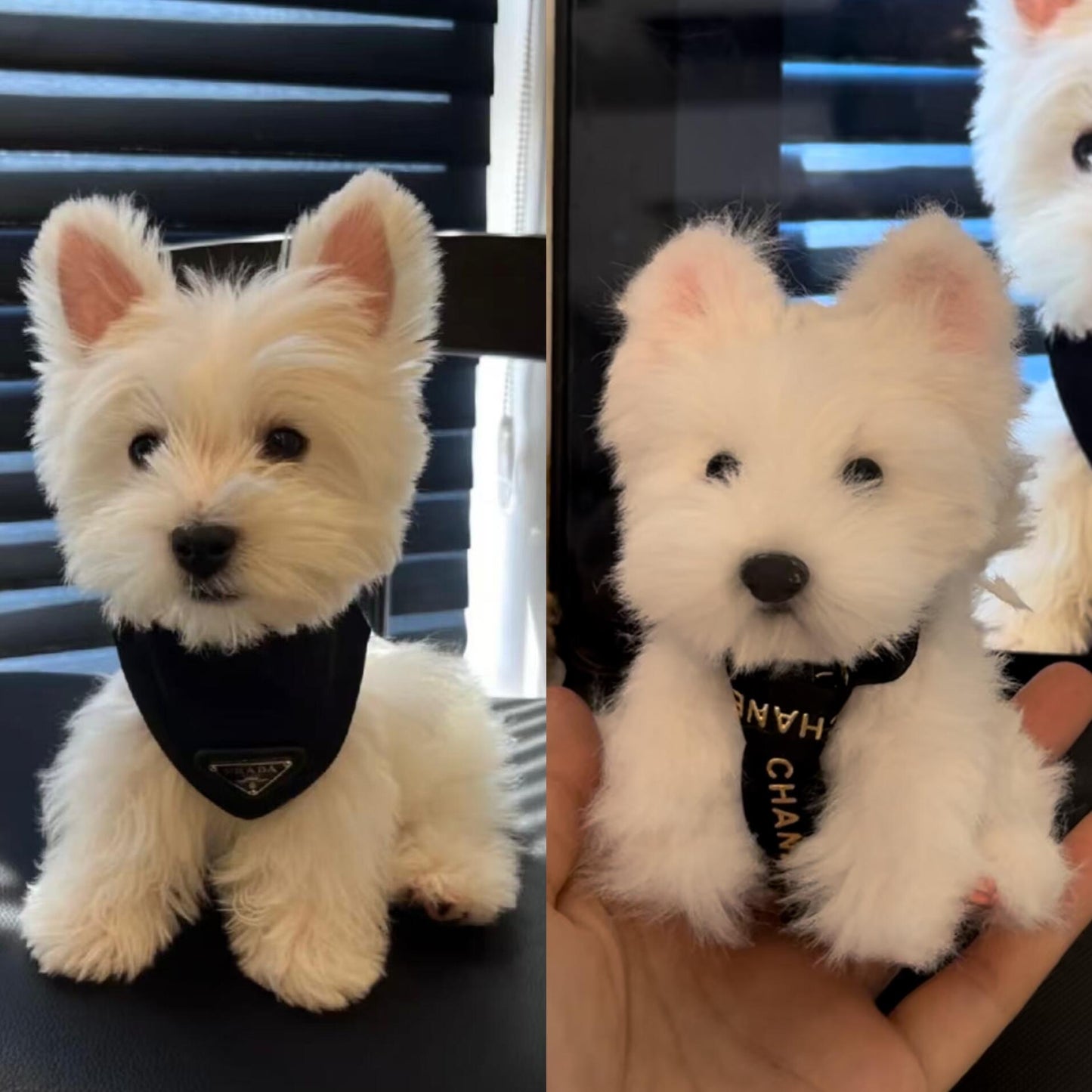 Peluche Personalizzato Animale da Foto Ciondolo Pelo Lungo