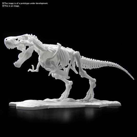 BANDAI DINOSAUR LIMEX SKELETON TYRANNOSAURUS  21cm