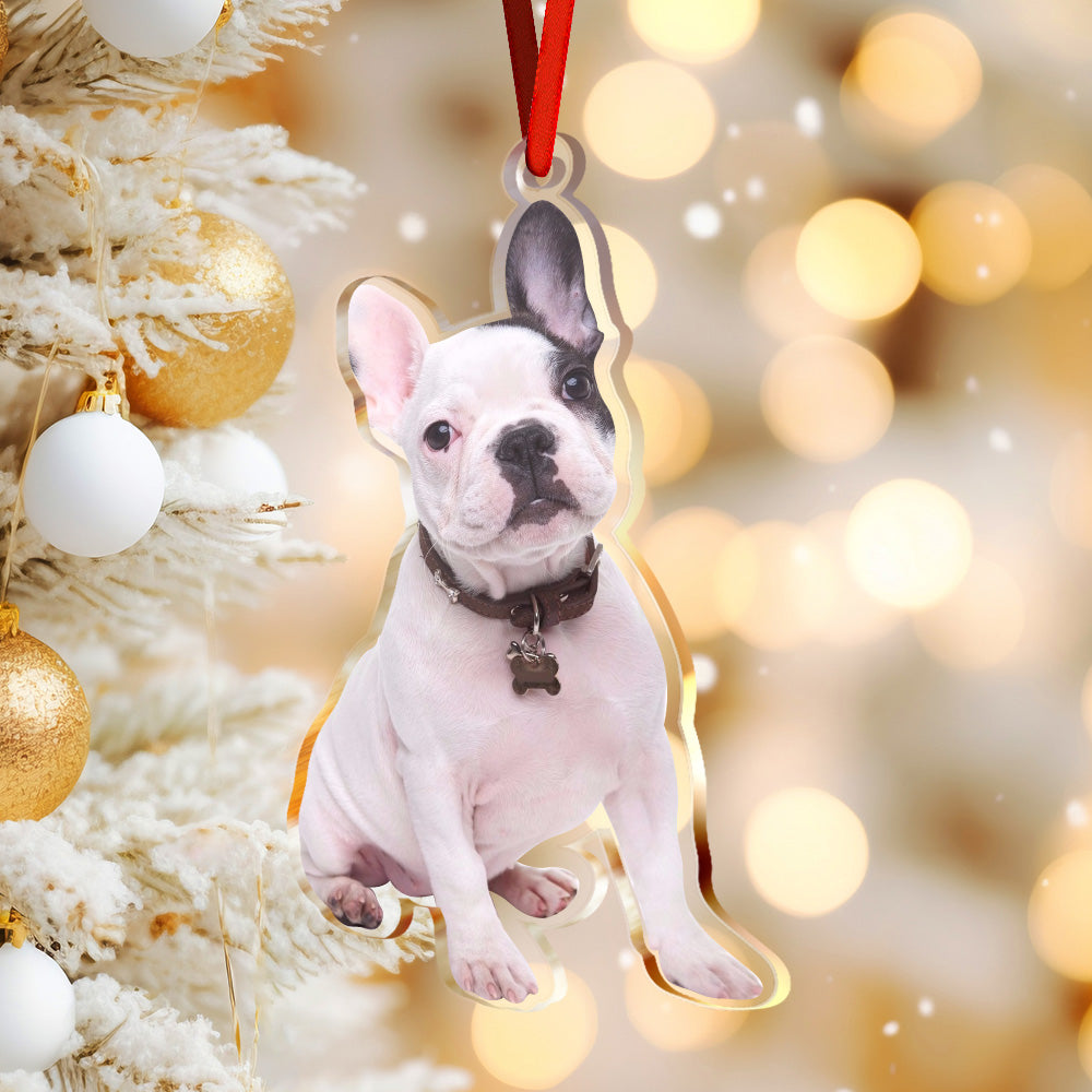 Pallina Natale Acrilico Sagomata Foto Pet Cane Gatto Regalo Pet Lover Decorazione Appendino
