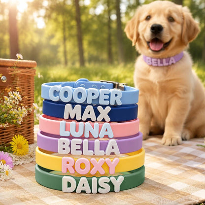 Collare Silicone Cane Gatto Personalizzato con Lettere Nome Set Collare e Guinzaglio