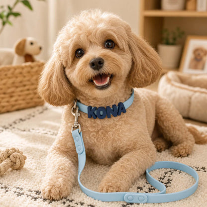 Collare Silicone Cane Gatto Personalizzato con Lettere Nome Set Collare e Guinzaglio