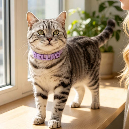 Collare Silicone Cane Gatto Personalizzato con Lettere Nome Set Collare e Guinzaglio